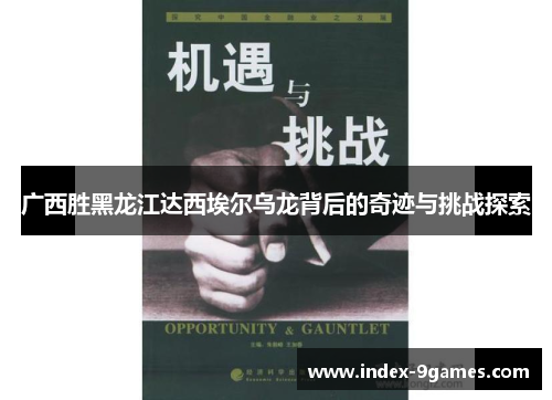 广西胜黑龙江达西埃尔乌龙背后的奇迹与挑战探索